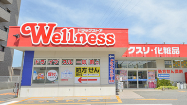 ファンケル ウェルネス